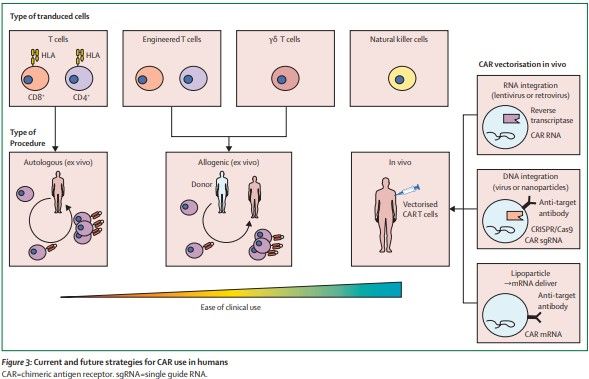 Current and future strategies for chimeric antigen receptor use in humans