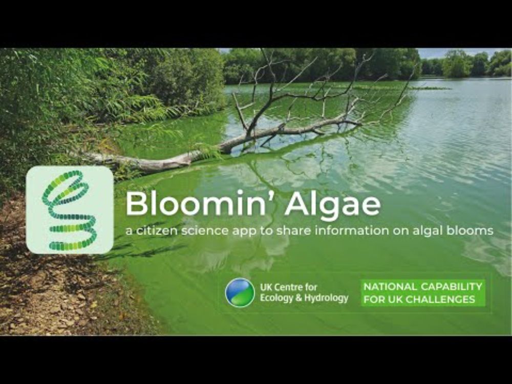 Bloomin' Algae: a citizen science app to share information on algal blooms