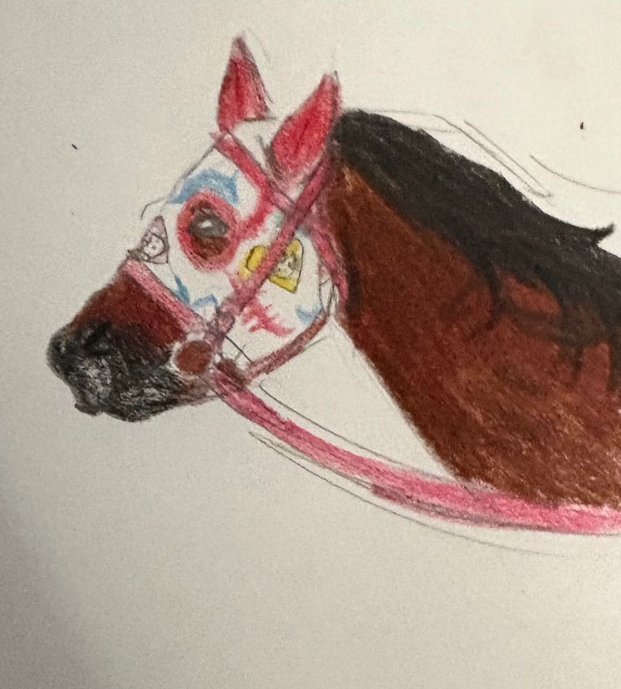 Haru urara the horse 