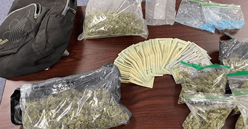 Troy Man Arrested for Drunk Driving Found with Nearly 4 Pounds of Cannabis