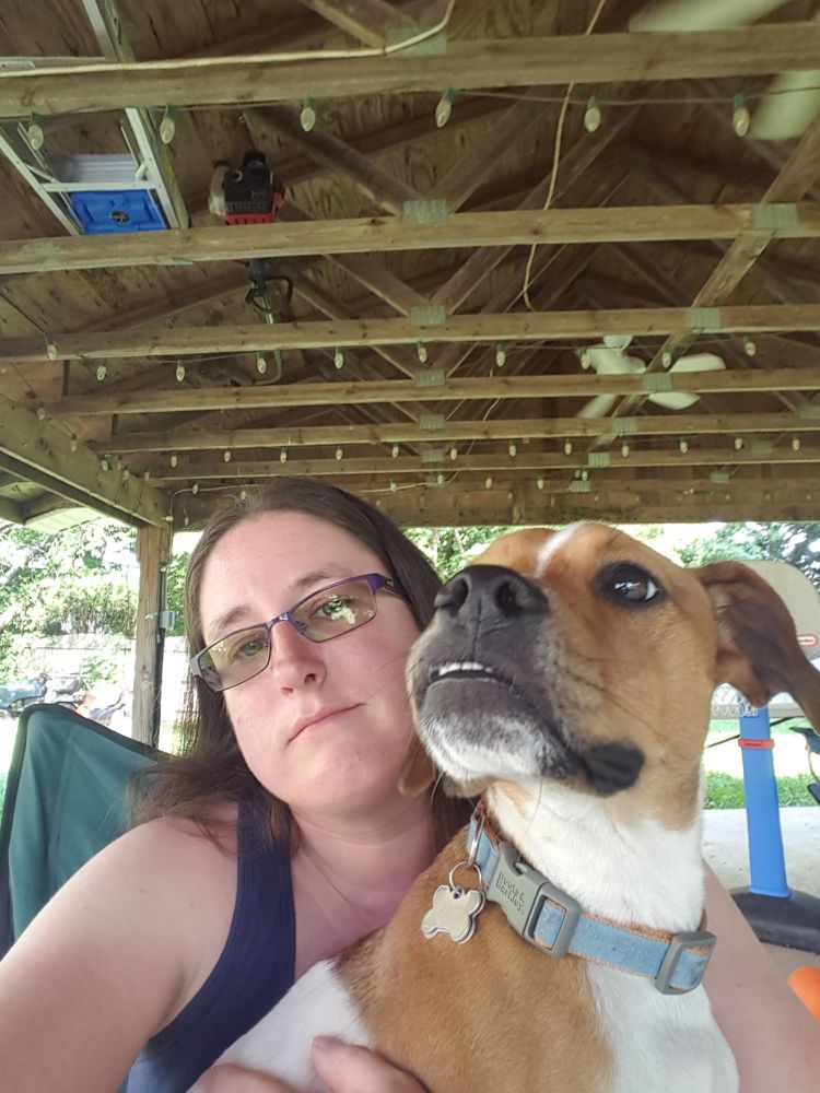 A tan and white dog on my lap