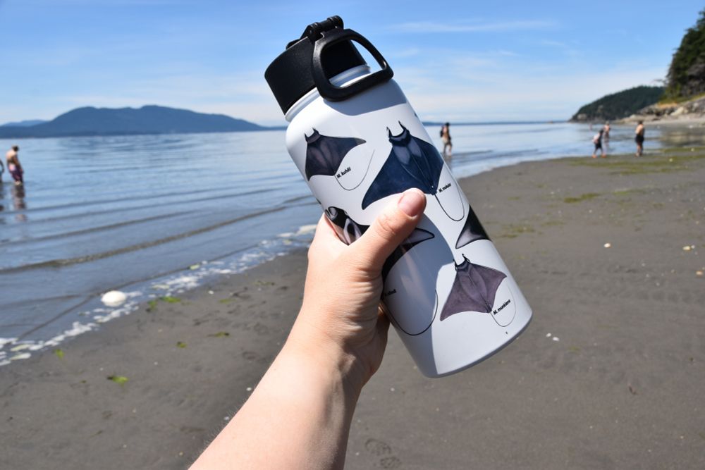 Super cool stainless steel water bottle with paintings of manta ray and devil ray species with their scientific names. The bottle is held up by my hand with a beach on a sunny day in the background. 