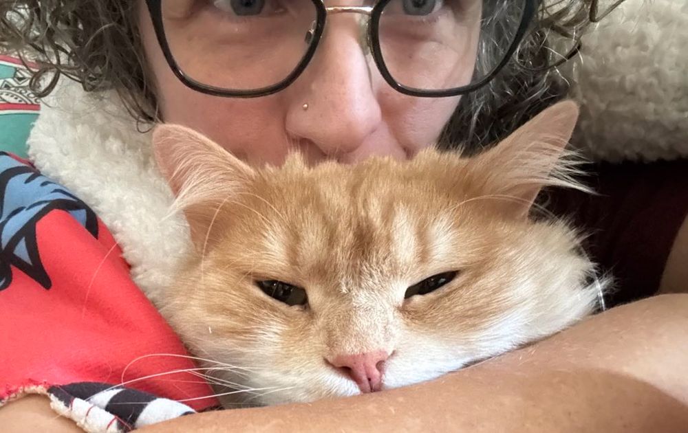 Snuggling with an orange cat. 