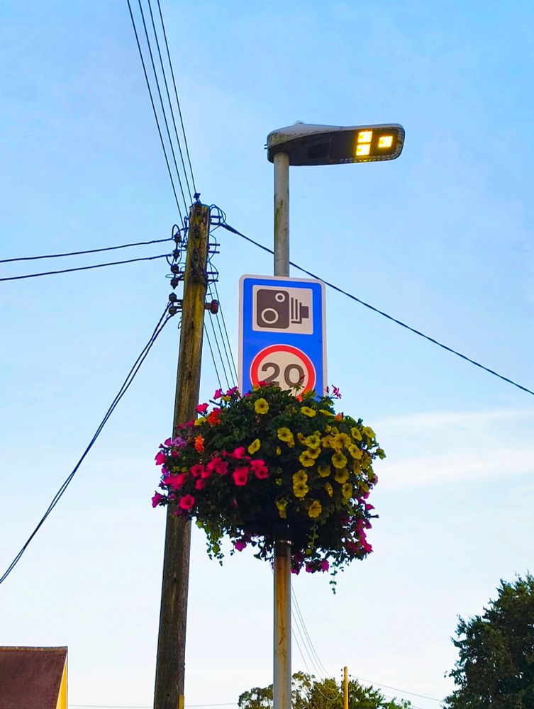 A 20 mph speed limit sign with a speed camera icon, with a large ball of colourful flowers below it, attached to a street light, which is on, with overhead power cables in the background against a blue sky