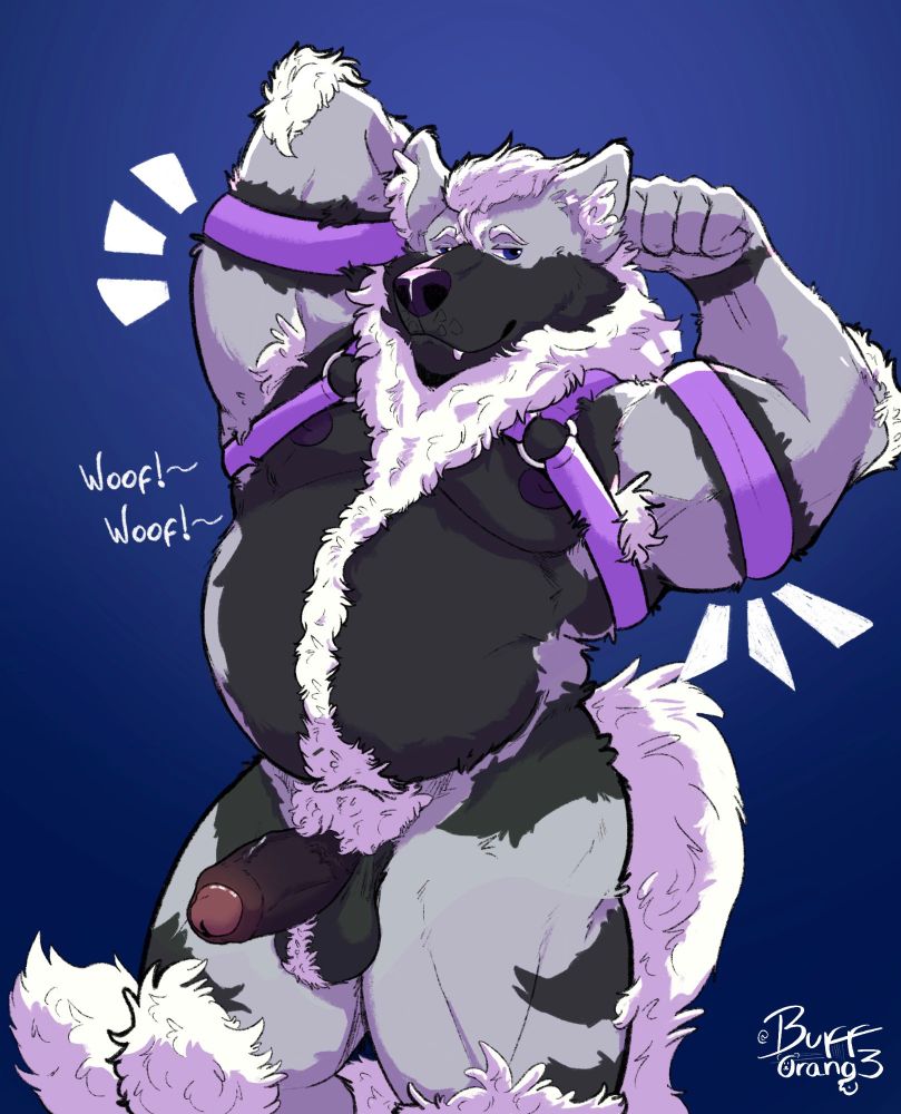 A pic of my boyfriend's (Theodore!!) sona in the buff (WHEW!!) sporting a purple harness set and a mighty tasty hard on

Cold out but I'm down to slurp some hard sausage heh heh heh heh