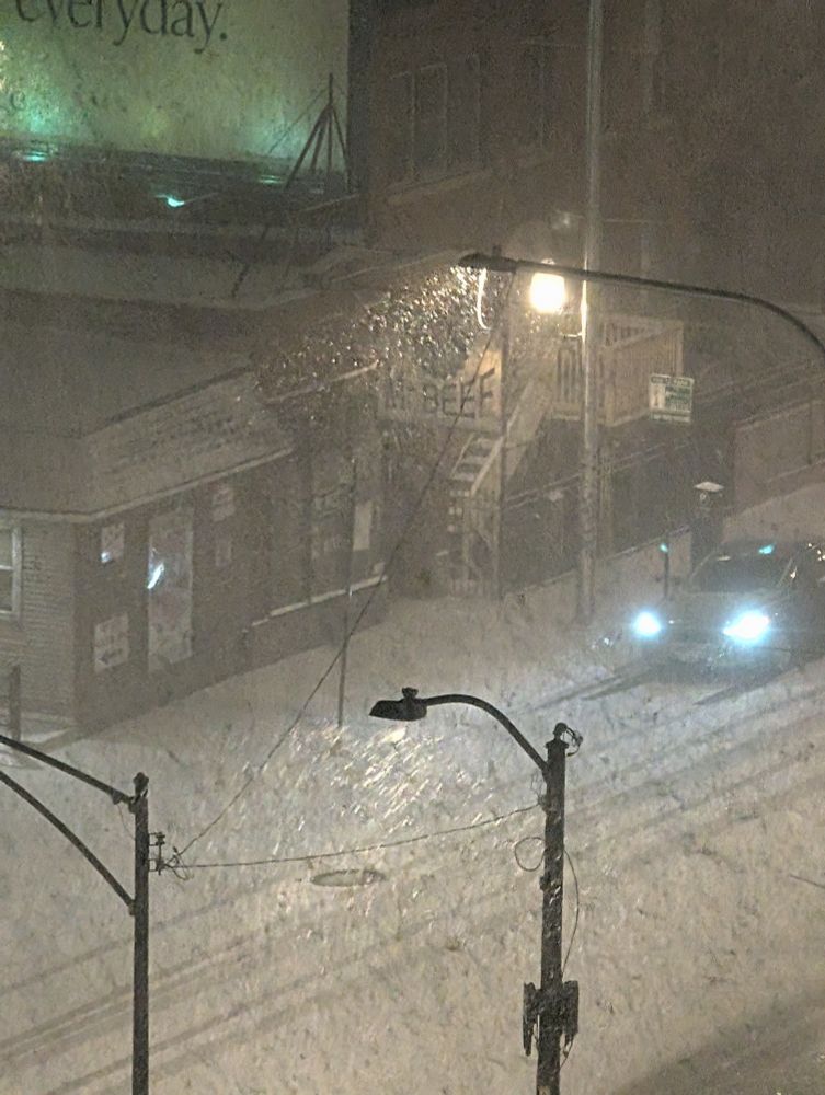 Mr Beef in a snow storm 