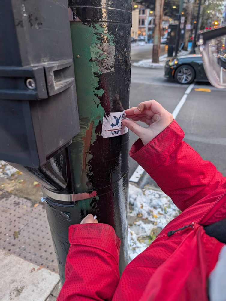 Nazi sticker being removed from light pole by Tegan 