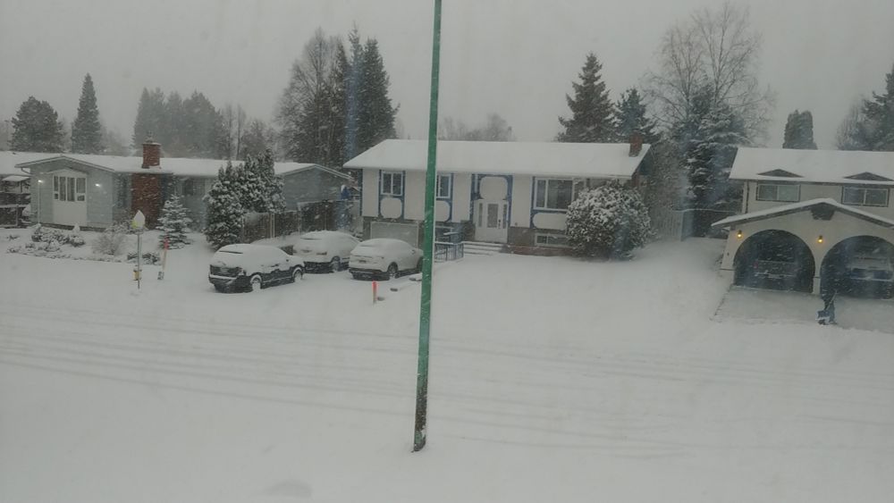 Winter scene, snow covered street 
