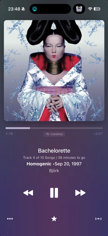 Screenshot of Bachelorette by Björk from her album Homogenic from 1997
