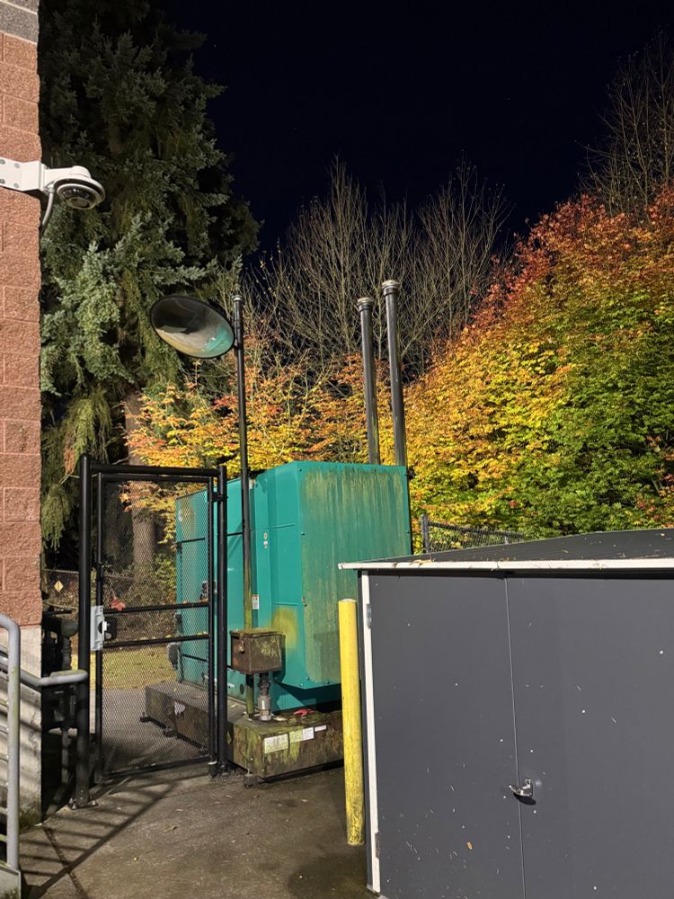 Brightly lit trees with red, yellow, and green leaves framed by an electrical box, a bike locker, a fence, and the side of a brick building