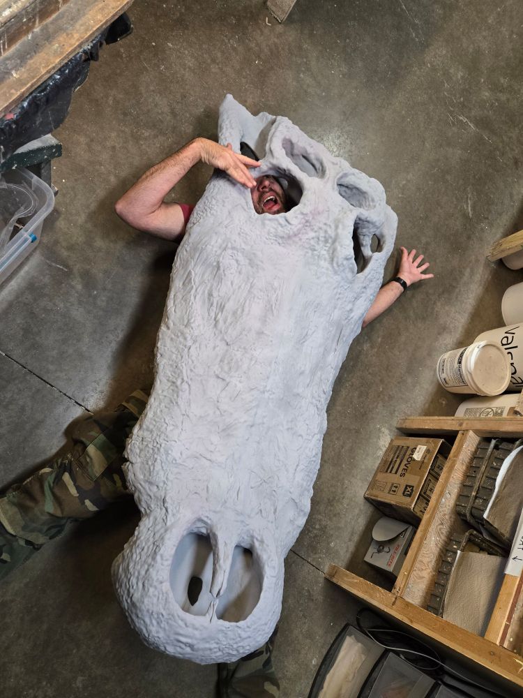 Primer grey croc skull with partially consumed Curator for scale 