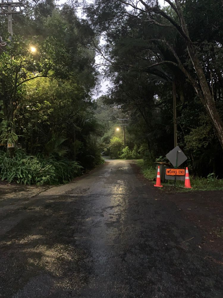 Forest, road, post-rain with street lights in the early morning 