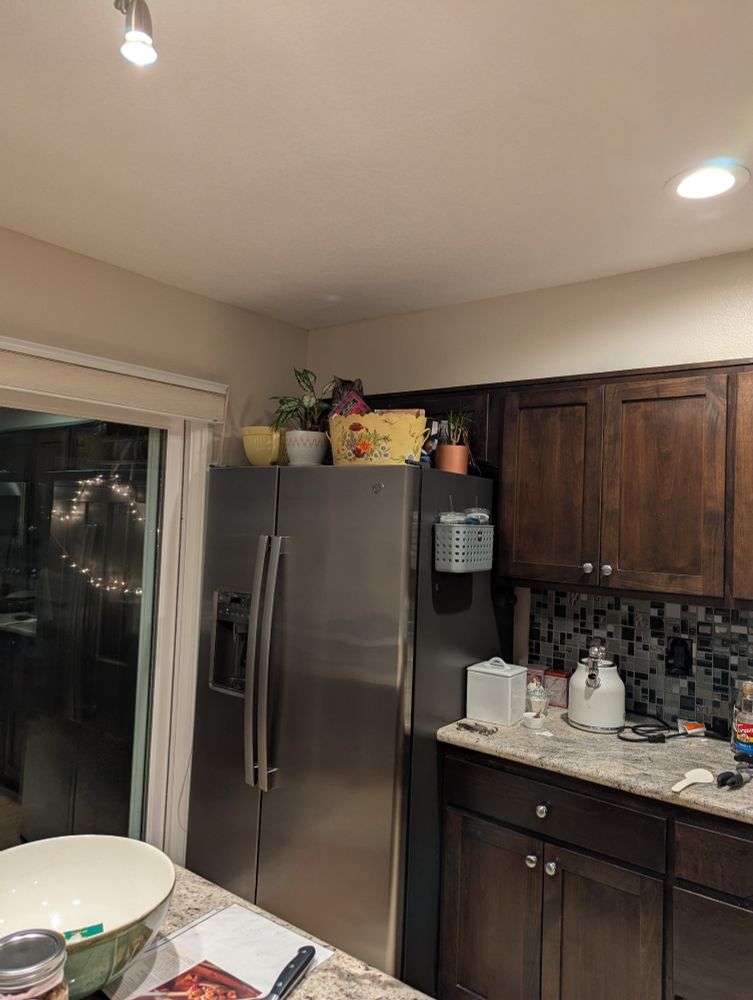 Kitchen. Stainless steel fridge with a cat on top who thinks no one can see him.