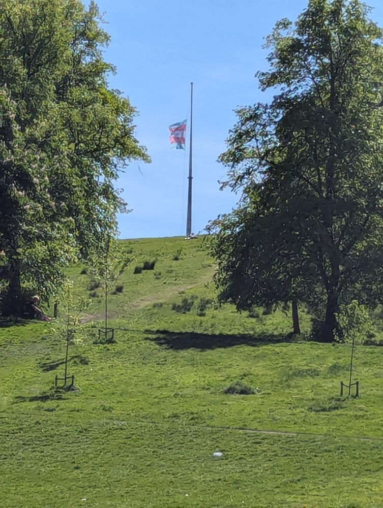 Trans flag flying over Queen's Park