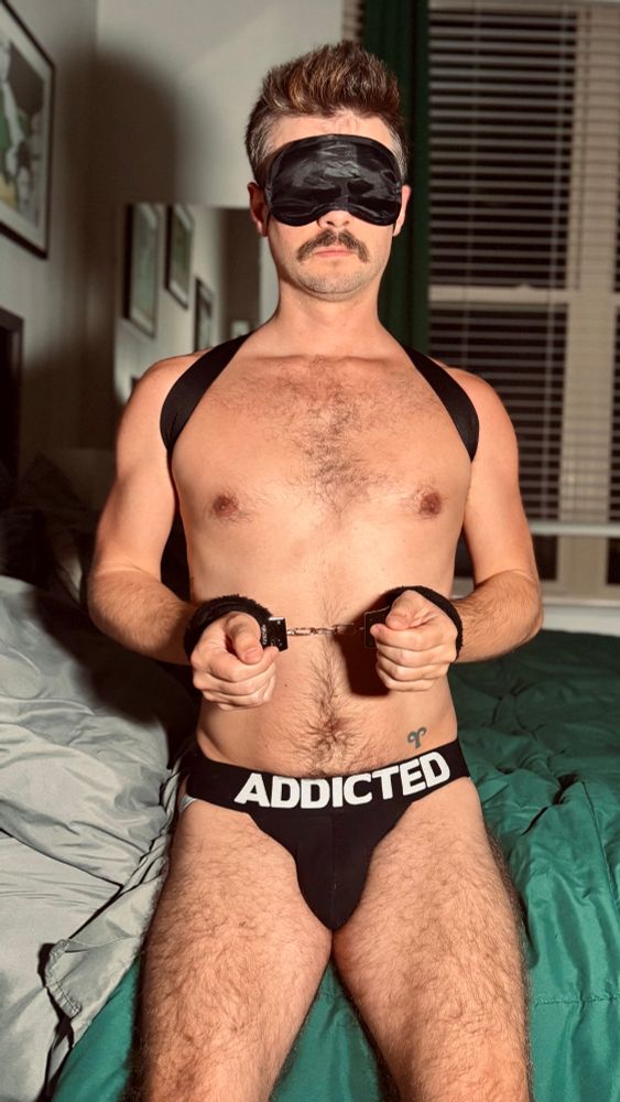 Gay otter with hairy legs in a jockstrap and harness wearing fuzzy handcuffs and blindfold.
