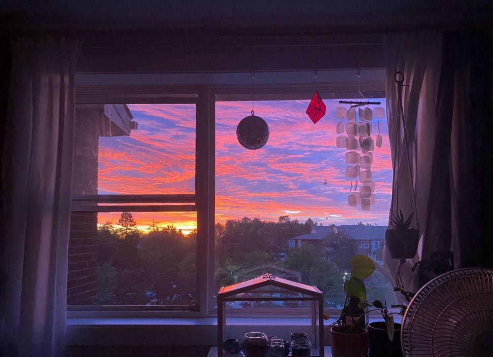 Sunrise through a picture window with plants and a fan in the foreground. 