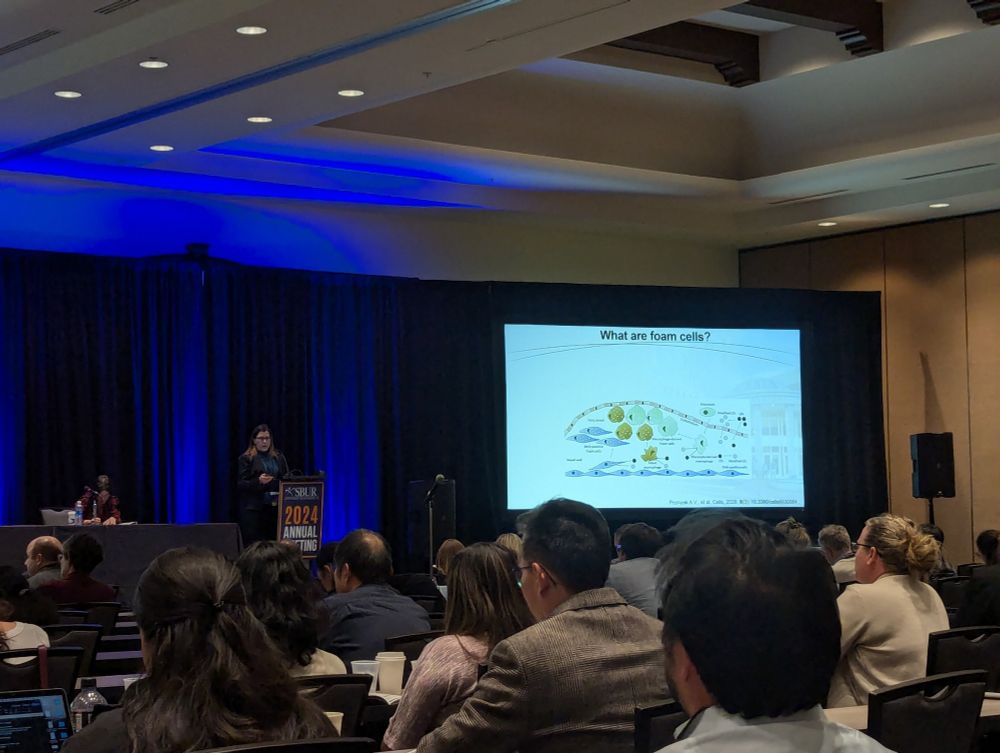 Petra presents her work in front of a full audience, with a presentation slide asking "what are foam cells?".