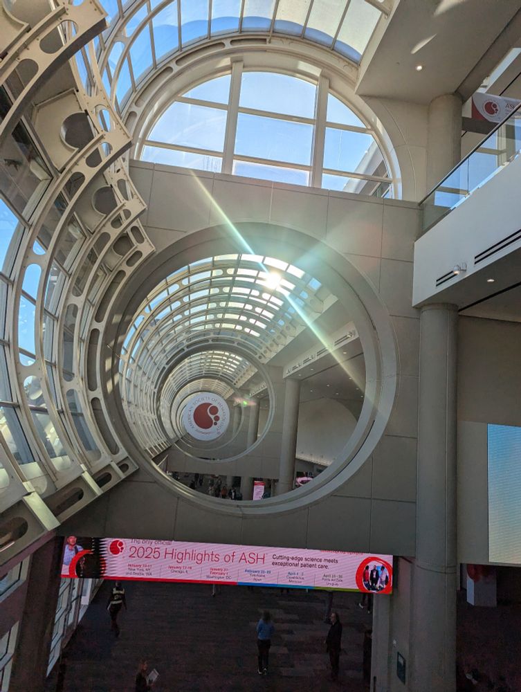 Circular architecture of the San Diego Convention Center with morning light peeking through. 