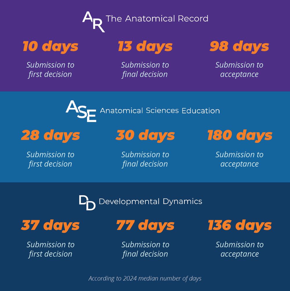 timeline