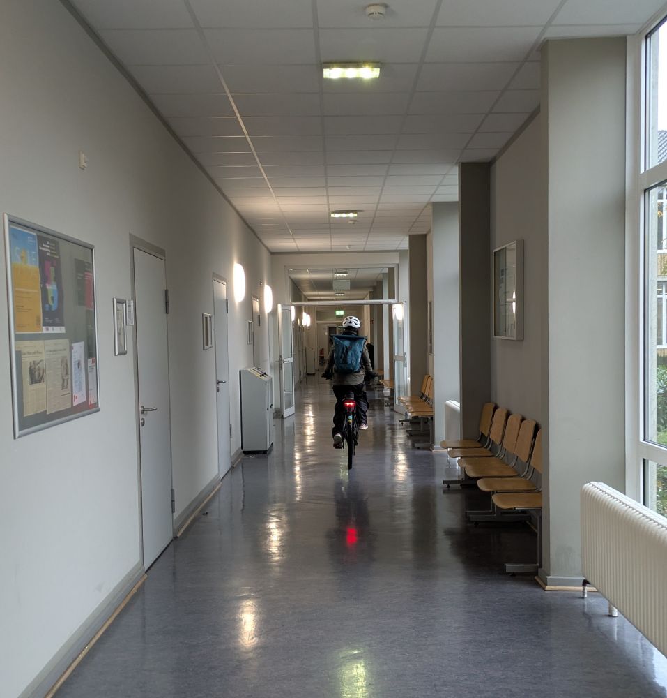 Foto von einem Uniflur, darin von hinten eine fahrradfahrende Person