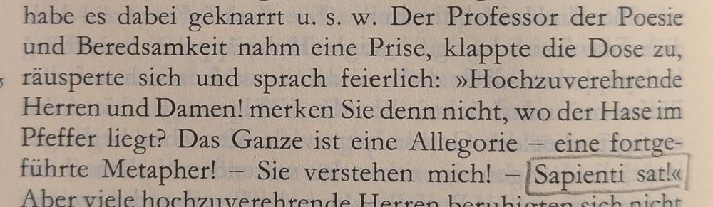 Foto von Hoffmanns Sandmann, in der Textstelle sagt ein Poesie-Professor, dass das Geschehen eine Metapher sei "Sie verstehen mich! Sapienti Sat!"