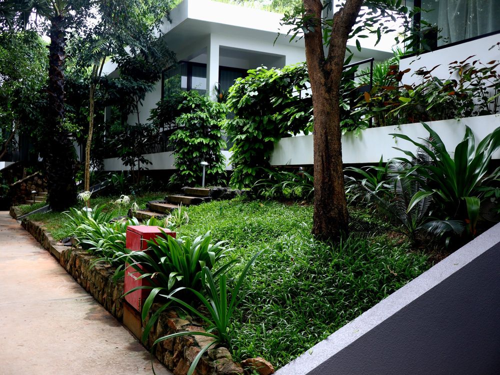 My last staycation was two weeks ago at Hillocks Hotel and Spa in Siem Reap. This lush, tranquil resort offers an affordable yet luxurious escape, with a gorgeous saltwater pool that stretches out toward breathtaking views. It was the perfect place to unwind after days spent exploring ancient temples—I lost all sense of time.
Whenever I have a chance to leave the city, all I need is a staycation—the budget-friendly cousin of a vacation. Provinces like Siem Reap, Mondulkiri, Ratanakiri, Battambang, Kep, Kampot, Koh Kong, trips to nearby islands make ideal staycation spots, or even in Phnom Penh itself. These escapes let me step away from city life and immerse myself in nature for some much-needed rest. Cambodia is full of natural retreats waiting to be explored and enjoyed, which is a big part of why I’ve called it home for the past two decades.