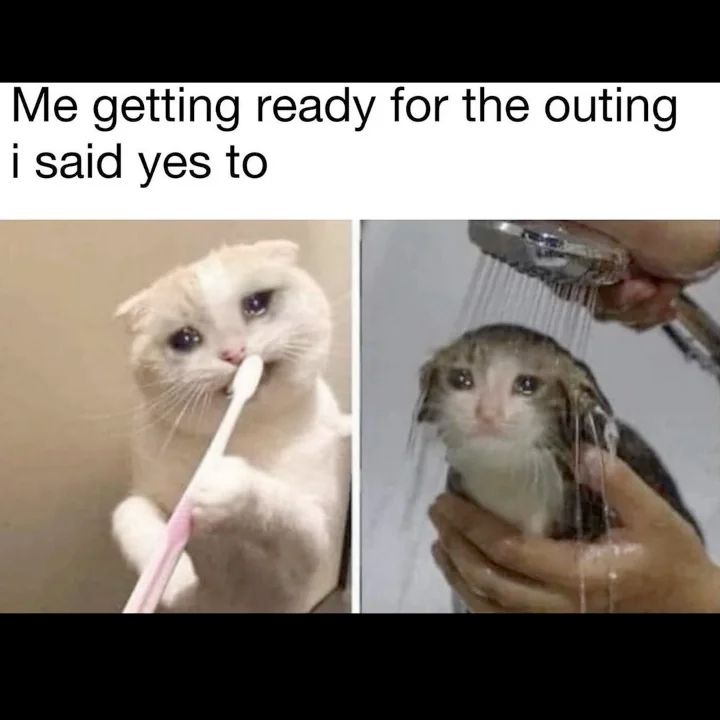 Sad cat brushing his teeth and having a shower, not wanting to go out