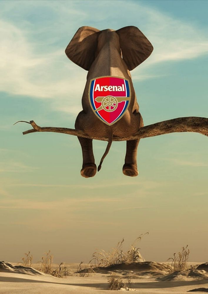 An elephant on top of a tree with an Arsenal badge 