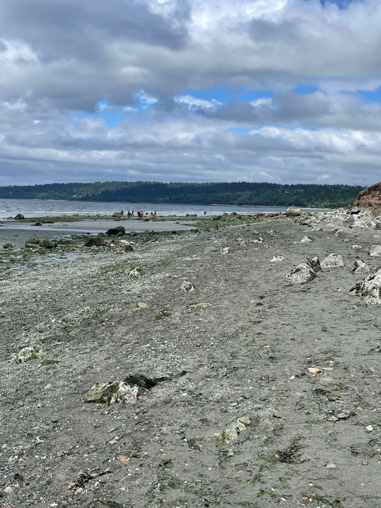 Golden Gardens Beach, in Seattle Washington USA during one of the lowest low ties of the year. When the tide is in, the entire beach disappears.