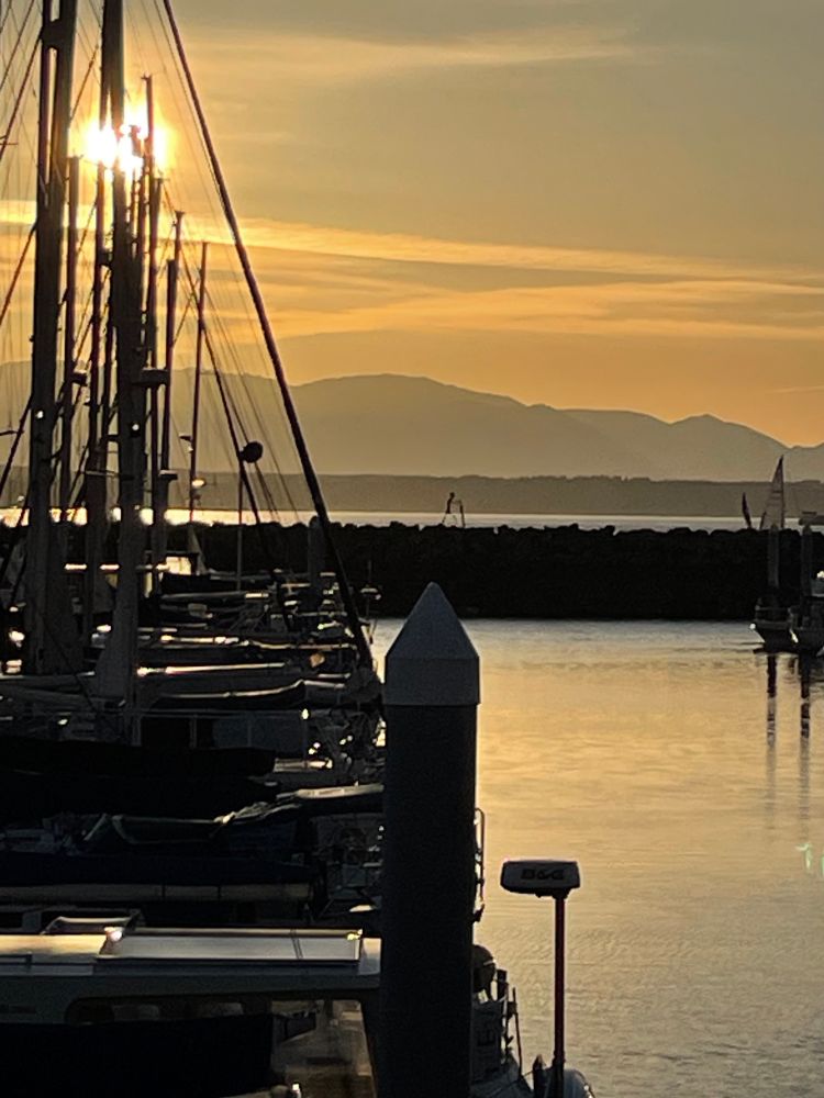 Sunset with Olympic Mountains and Puget Sound behind a Don Quixote sculpture on a marina breakwater with slips of boats in the foreground.