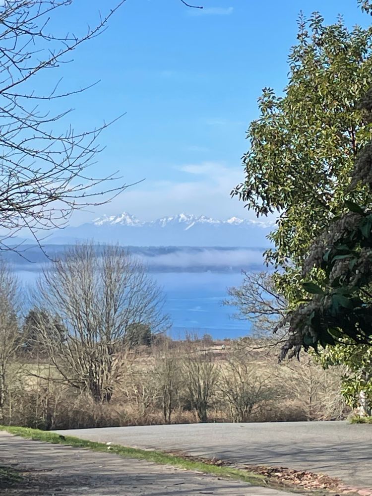 Olympic Mountains and Puget Sound from near the chapel at Discovery Park.
