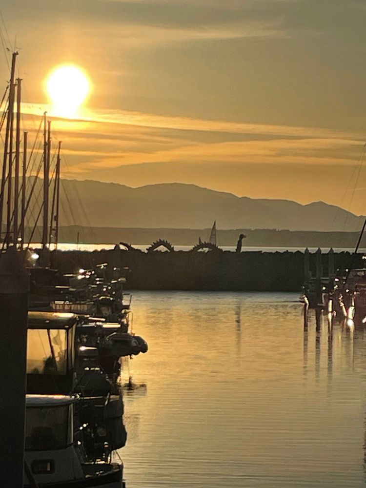 Sunset with Olympic Mountains and Puget Sound behind a serpent sculpture on a marina breakwater with slips of boats in the foreground.