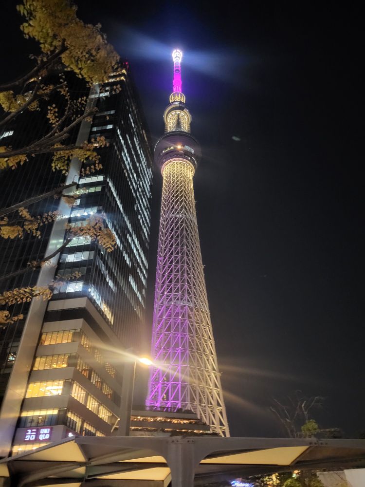 Sky Tree Tower aka the tallest building in Tokyo
