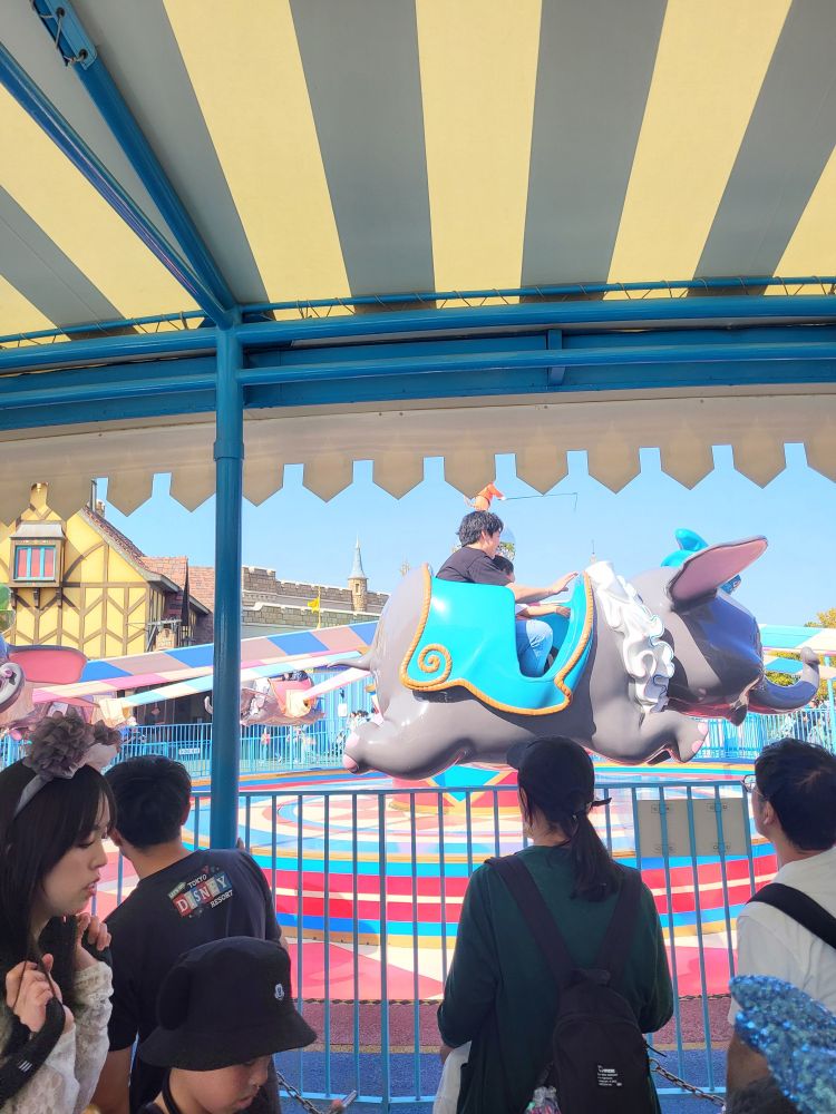 A picture of the Dumbo ride in action!