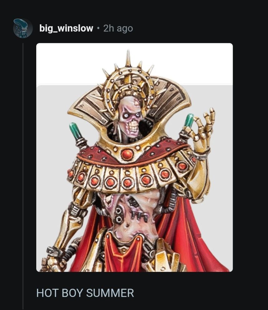 Picture of Ozontium Aranthus without armour, his flesh falling off with the caption "hot boy summer"