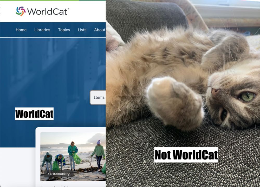 A screenshot of the WorldCat landing page with the caption "WorldCat" alongside a picture of a very fluffy cat exposing her belly with the caption "Not WorldCat."