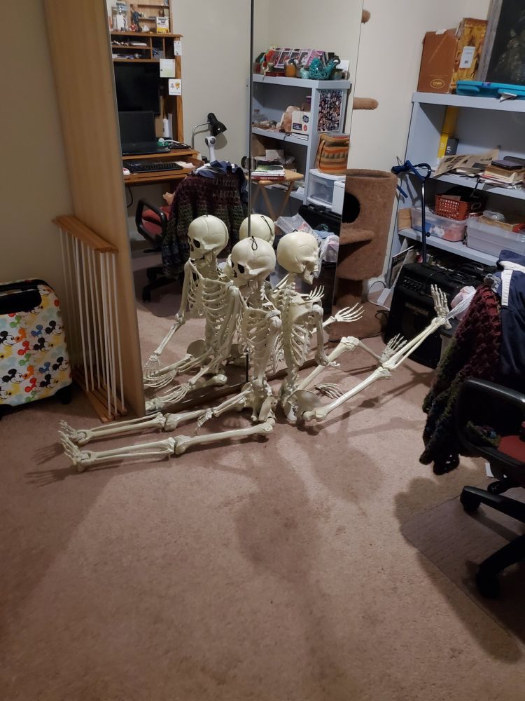 Two skeletons sitting back-to-back on the floor in front of a mirror.