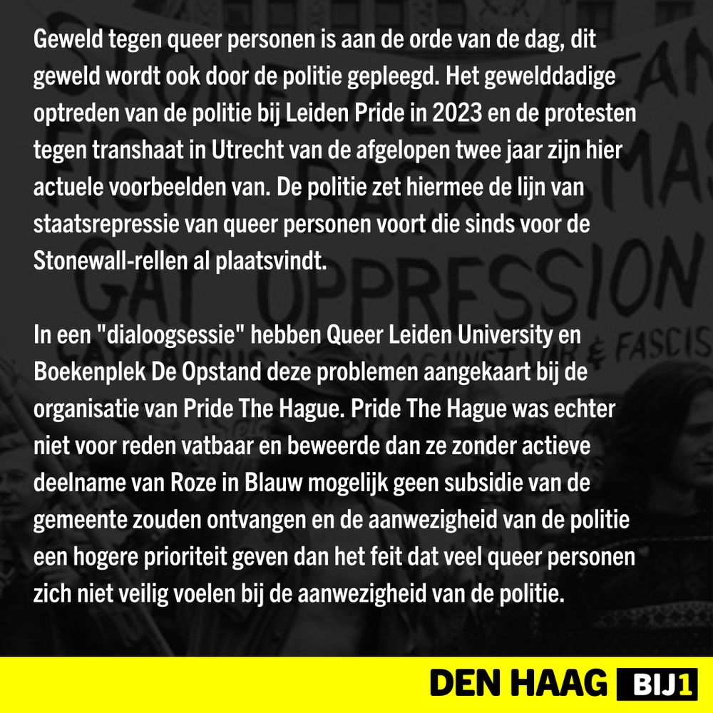 Geweld tegen queer personen is aan de orde van de dag, dit geweld wordt ook door de politie gepleegd. Het gewelddadige optreden van de politie bij Leiden Pride in 2023 en de protesten tegen transhaat in Utrecht van de afgelopen twee jaar zijn hier actuele voorbeelden van. De politie zet hiermee de lijn van staatsrepressie van queer personen voort die sinds voor de Stonewall-rellen al plaatsvindt.

﻿In een "dialoogsessie" hebben Queer Leiden University en Boekenplek De Opstand deze problemen aangekaart bij de organisatie van Pride The Hague. Pride The Hague was echter niet voor reden vatbaar en beweerde dan ze zonder actieve deelname van Roze in Blauw mogelijk geen subsidie van de gemeente zouden ontvangen en de aanwezigheid van de politie een hogere prioriteit geven dan het feit dat veel queer personen zich niet veilig voelen bij de aanwezigheid van de politie.