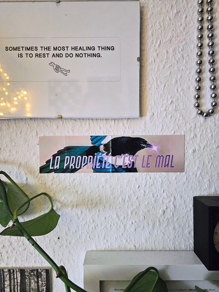 Sticker stuck on white wall saying "La Propriété C'Est Le Mal" (property is the evil) in pink capital letters with a magpie behind it, holding a pink glare in its beak. Around the sticker are other wall ornaments and one Pothos plant vine. One other wall ornament is another sticker reading "Sometimes the most healing thing is to do nothing".