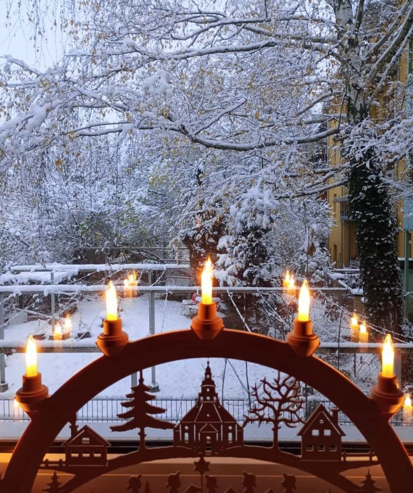 Ein Foto aus dem Fenster rauß. Im Fenster steht ein Schwibbbogen mit kleinstädtischem Motiv. Aus dem  Fenster rauß ist ein verschneiter Hintergarten zu sehen, mit Wäscheleine, Bäumen und Büschen.