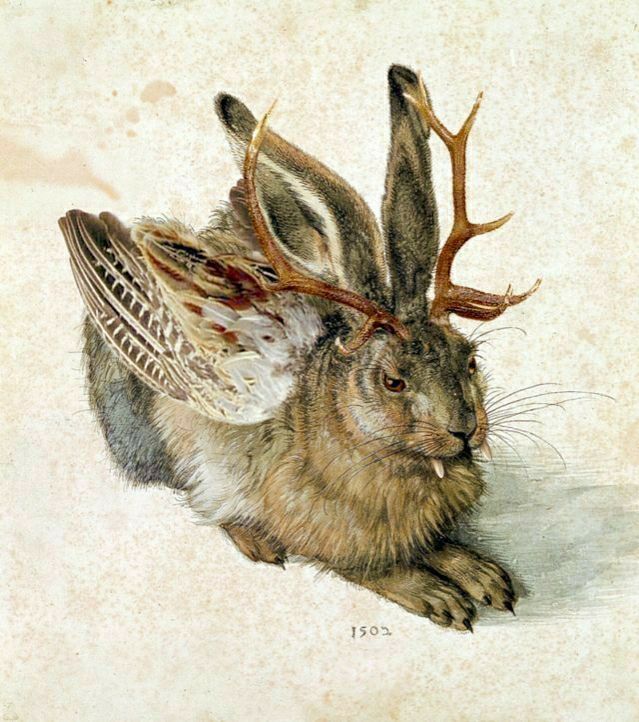 An illustration of a Wolpertinger (wich is a mythical creature). This Wolpertinger is a rabbit with antlers, fangs and wings.