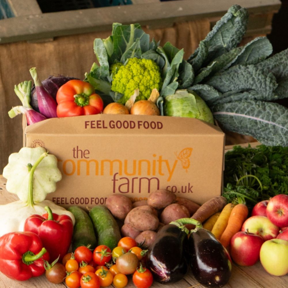 Veg box from the community farm
