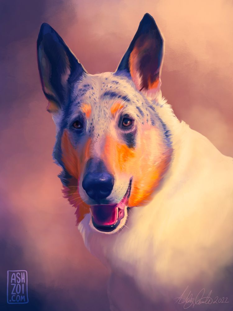 A digital painting depicting a Merle rough collie with ears, pricked up and mouth slightly open, tongue visible. The painting is from the shoulders up centered on the dogs face. The dog is looking slightly to the left. The colors have been saturated.