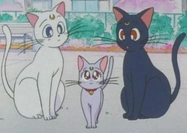 The cats from sailor moon