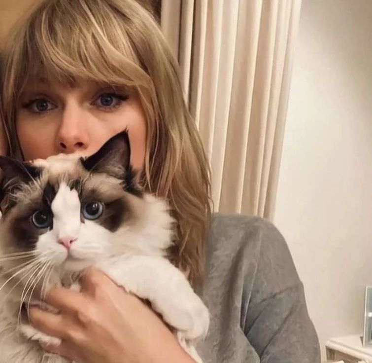 Taylor Swift with her cat Benjamin 