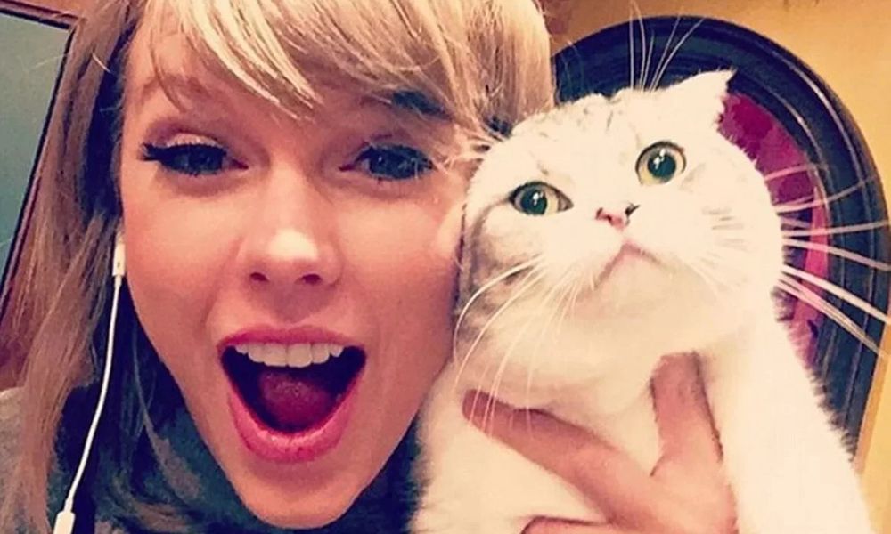 Taylor Swift holding up her Scottish fold cat Meredith (I think lol might be Olivia) and smiling 