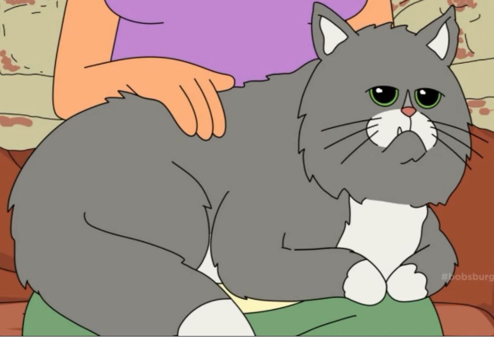 Aunt Gayle petting her cat