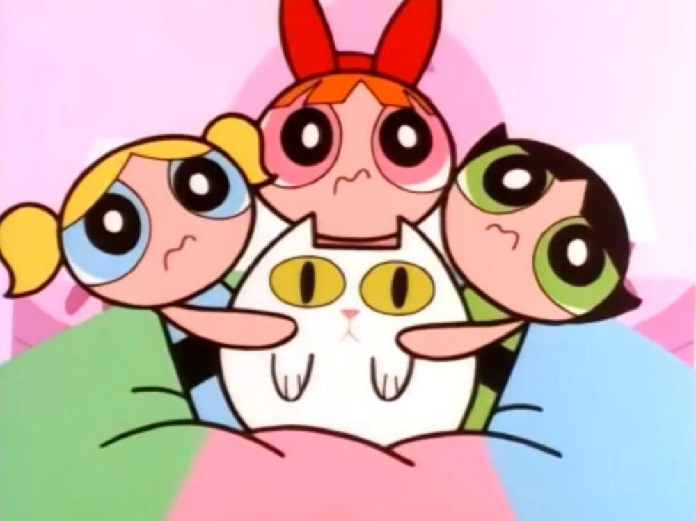 The Powerpuff girls hugging a white chunky cat