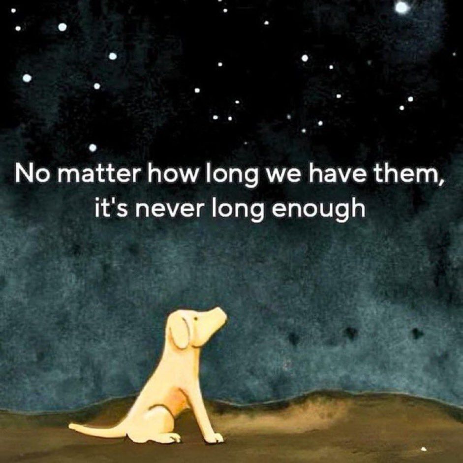 Dog looking at sky with caption that says: No matter how long we have them it's never long enough "