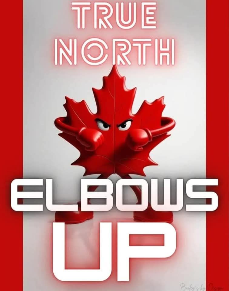 Canadian flag.  The maple leaf has angry eyes, elbows up and boxing gloves.

True North at the top,
Elbows Up at the bottom.